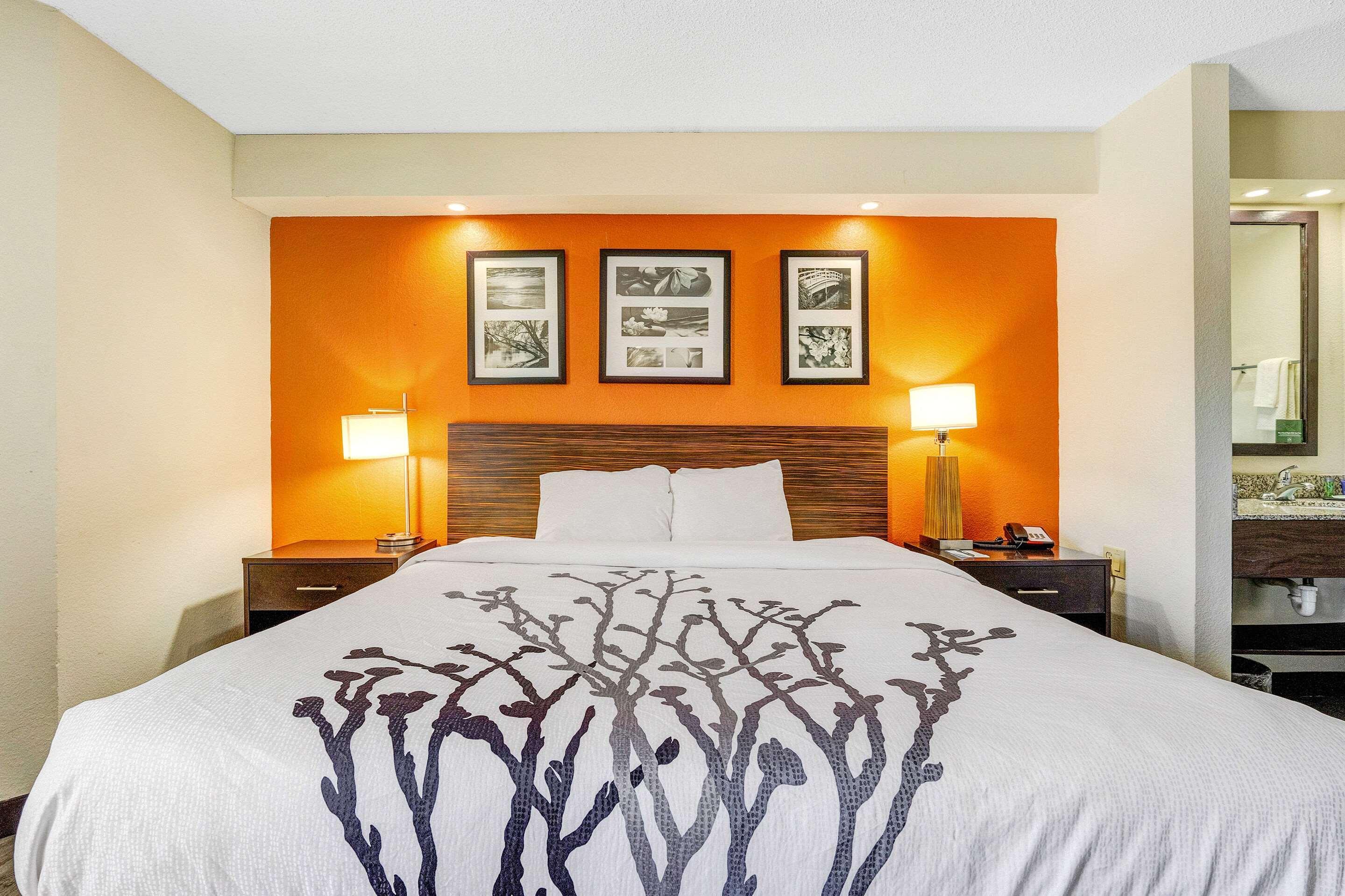 Inn Sleep Chain Of Lakes